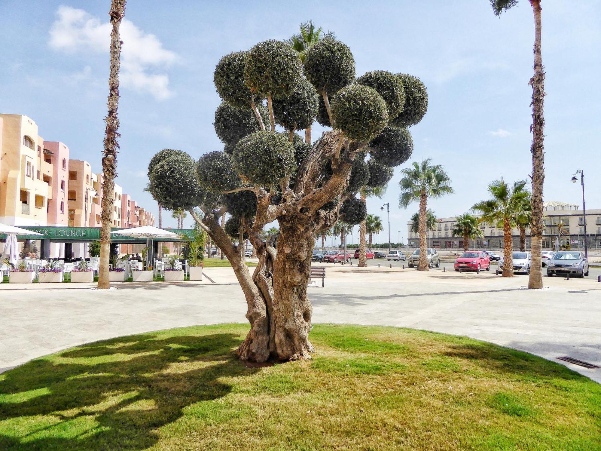 Mar Menor Golf 2 Free Pool, Padel Tennis, Gym Yoga Etc Apartment